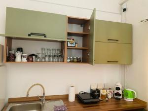 a kitchen with green cabinets and a sink at Arvisura Vendégházak family and pet friendly apartments in Zsombó