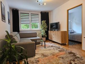 Televízia a/alebo spoločenská miestnosť v ubytovaní Apartament Przy Lesie