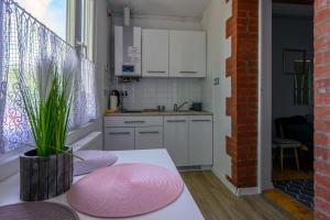 Kuchyňa alebo kuchynka v ubytovaní Apartamenty na Piątkę