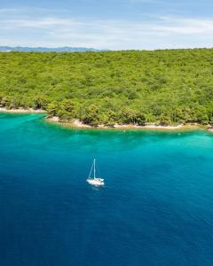 a boat in the middle of a large body of water at 88 TREES Luxury Apartment in Malinska