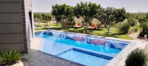 GuercifFerme Marsa的房子后院的游泳池