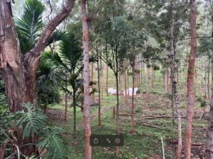 Billede fra billedgalleriet på Serenity Farm Stay i Hampāpura