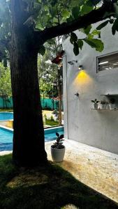 Billede fra billedgalleriet på Serenity Farm Stay i Hampāpura + 23 billeder