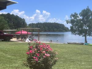 a bush with pink flowers in front of a lake at Alpine Lakeside Motel Room Backside in Hemphill