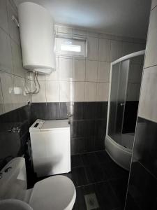 a small bathroom with a toilet and a sink at Tara Apartment in Herceg-Novi