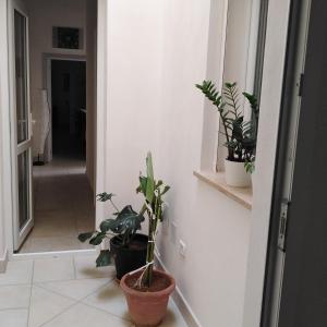 Fotografie z fotogalerie ubytování Lentisco B&B v destinaci Avetrana