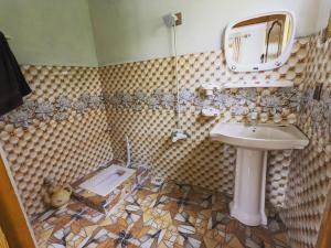 a bathroom with a sink and a mirror at Alpine Resort Khaplu in Khaplu