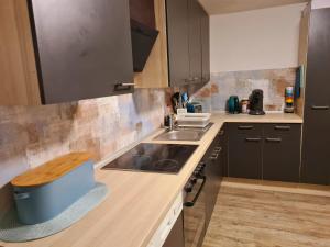 a kitchen with a sink and a counter top at Adria Home in Veringenstadt
