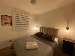 Billede fra billedgalleriet på Apartamento Céntrico i Curicó