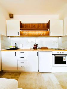 Kuchyň nebo kuchyňský kout v ubytování Apartman Anturijum + 10 fotografií
