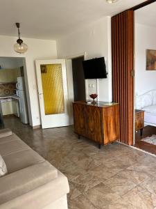 TV a/nebo společenská místnost v ubytování Apartments Ferguson