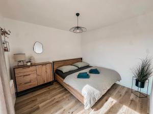 a bedroom with a bed and a dresser and a mirror at Apartmán Bezinka in Lipno nad Vltavou