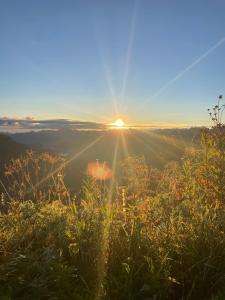 Fotografie z fotogalerie ubytování Gästehaus Matt v destinaci Hirschegg