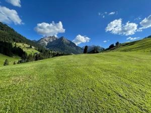 Fotografie z fotogalerie ubytování Gästehaus Matt v destinaci Hirschegg