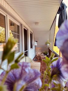 a porch with chairs and purple flowers on a house at Loh Apartments - Wald.Natur.Ruhe. in Undeloh