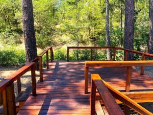 a wooden boardwalk in a forest with two benches at RV42 with Large Deck on a Creek in O'Brien