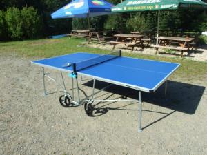 Stolní tenis v ubytování Pension Skalka nebo okolí