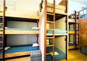 Camera con letti a castello in ostello di Arodes AsteriA Volunteer & Youth ECO-house a Paphos