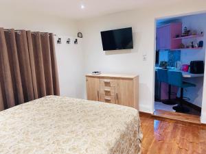 a bedroom with a bed and a desk and a television at Villa Antoaneta in Panagia