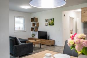 a living room with a couch and a tv at Apartment Swim and Relax in Moravske-Toplice