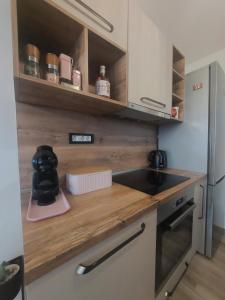 Kuchyň nebo kuchyňský kout v ubytování Apartment Mia 2