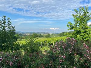 Paesaggio naturale nelle vicinanze dell'appartamento