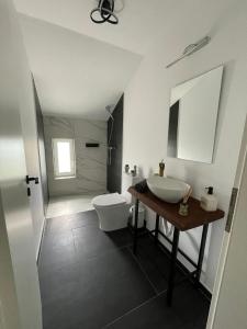 Fotografie z fotogalerie ubytování BIA Twin House v destinaci Arad + 17 fotografií