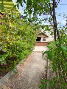 Gallery image of Maison La Belle Lorraine in Valras-Plage +17 photos