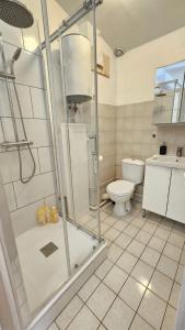 een badkamer met douche en toilet bij Le Massillon #Hypercentre in Clermont-Ferrand