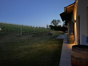 un edificio con un mucchio di botti di vino accanto a un vigneto di Vigne dei Mastri a Costigliole dʼAsti