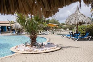 Bazén v ubytování Vakantie appartement Seru Coral Resort Curaçao nebo v jeho okolí