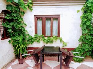 Kuća iz zavičaja外面的花园