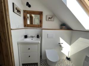 un bagno con lavandino e WC di Domek na Kaszubach 2-2 - Ostoja Bukowo a Borowy Młyn