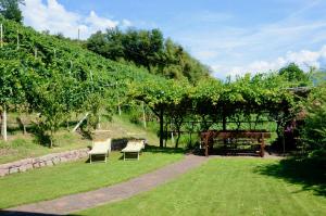 Gallery image of Spiegelhof in Appiano sulla Strada del Vino +71 photos