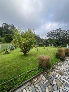 a garden with a tree and a stone path at Casa de campo adosada in Viveiro
