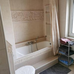 Phòng tắm tại Große Ferienwohnung in ruhiger Lage mit Bergpanorama