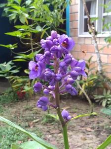 Foto dalla galleria di CAMPOWASI Hostel a Morales Altre 25 foto