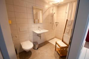 a bathroom with a toilet and a sink and a shower at Hôtel Bellavista "Bellevue" in Saignelégier