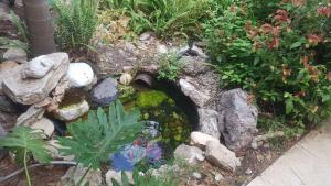 Κήπος έξω από το Super nice villa with pool 10 min from Natania