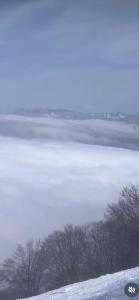 Příroda nedaleko penzionu