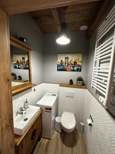 a bathroom with a white toilet and a sink at Domek na Kaszubach 22-2 - Ostoja Bukowo in Borowy Młyn +5 photos