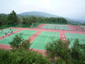 Tenis a/nebo squash v ubytování Madarao Lainstons nebo okolí
