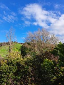 Gallery image of Brookvale House Balingup in Balingup