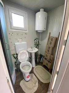 a bathroom with a toilet and a sink at Danube Oasis Stevantown 1 in Stari Banovci +11 photos