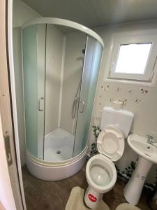 a bathroom with a shower and a toilet and a sink at Danube Oasis Stevantown 1 in Stari Banovci
