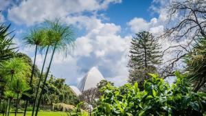 una vista de la ópera Sydney a través de palmeras en KozyGuru | Haymarket | Chic City Studio, en Sídney