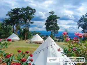 Příroda nedaleko luxury tent + 7 fotografií