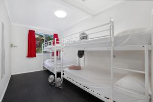 a room with two bunk beds and a window at Gladstone Backpackers in Gladstone