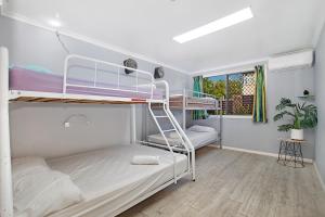a bunk bed room with two bunk beds and a ladder at Gladstone Backpackers in Gladstone +65 photos
