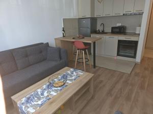 Kuchyň nebo kuchyňský kout v ubytování Apartman Cetinje